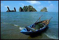 Vietnam tour